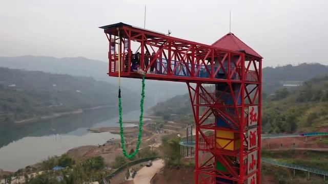 Живая свинья тестирует одну из самых высоких бенджи джампинг смотреть онлайн