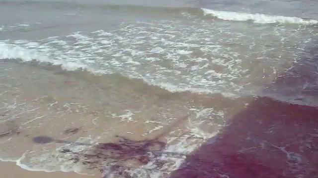 Черное море. 8 марта смотреть онлайн