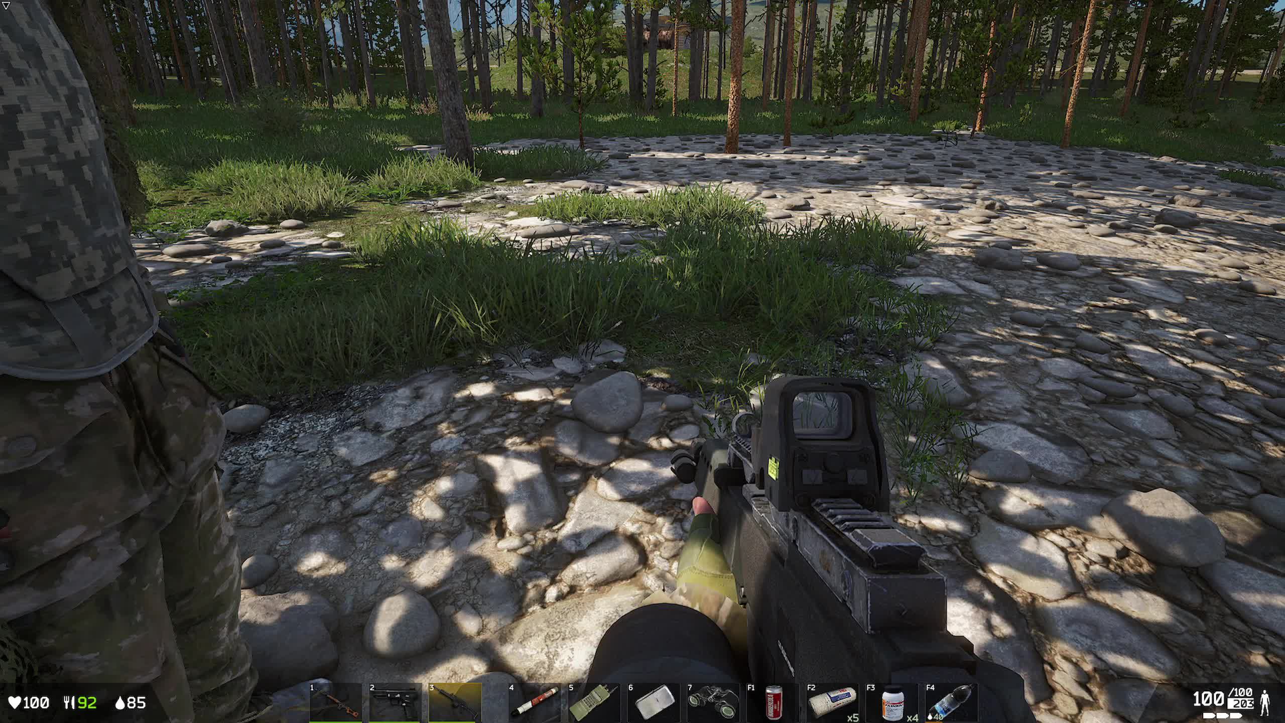 DEADSIDE стрим (просто играем)