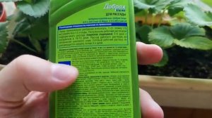 Жидкое удобрение Добрая сила для рассады 250ml (органо-минеральное) DS21010211 - отзывы в Плеер.Ру