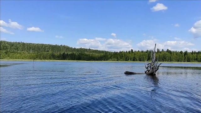 Рыбалка На Окуня в Любимом месте! (Июль 2021) смотреть онлайн
