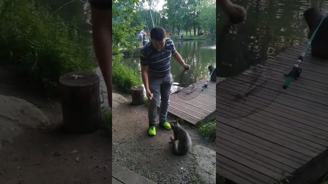 Васька бандит!!!!! Рыбацкая деревня на ВДНХ смотреть онлайн