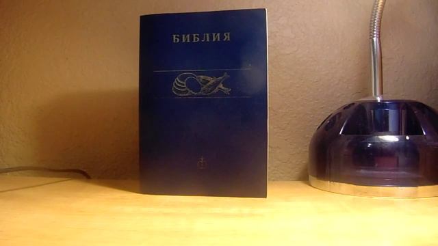 Чем отличается человек от животного? смотреть онлайн