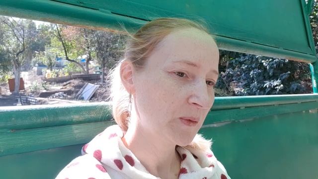 Берёзовый деготь, применение в саду смотреть онлайн