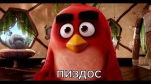 Злые птицы RYTP