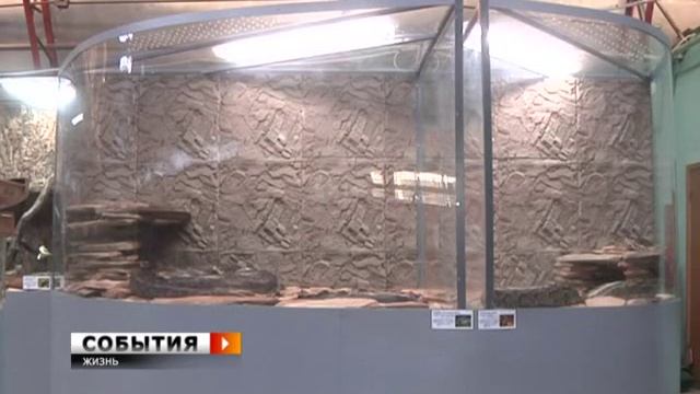 Каждому питону - по новому террариуму смотреть онлайн