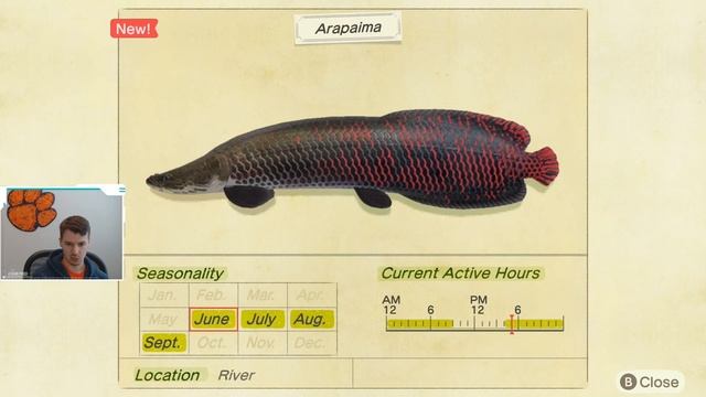 How to Catch an Arapaima | Arapaima ACNH | Arapaima Animal Crossing New Horizons | ACNH Arapaima смотреть онлайн