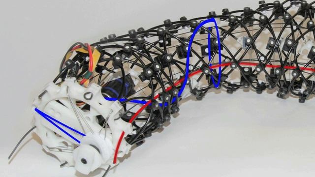 Worms, Waves, and Robots: The Worm Turns… and Runs смотреть онлайн