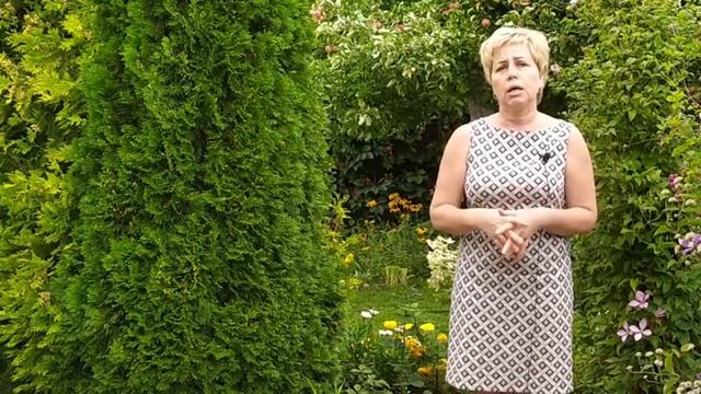 Розы в августе и сентябре ? Что обязательно нужно сделать? / Садовый гид смотреть онлайн