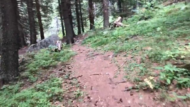 Видеодневник Мастера | ч.11. Заблудились..гора Витоша смотреть онлайн