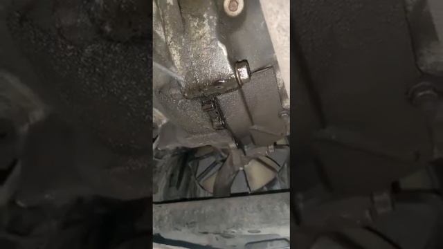 Диагностика Honda Civic: подтёки масла коленвала смотреть онлайн