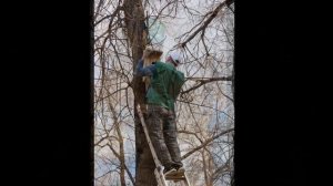 Субботник "Зеленая весна" 25.04.2019г.