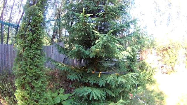 Михаил Бадисов. Рыбалка +. Мой пруд. Г. Лиепая, Латвия смотреть онлайн