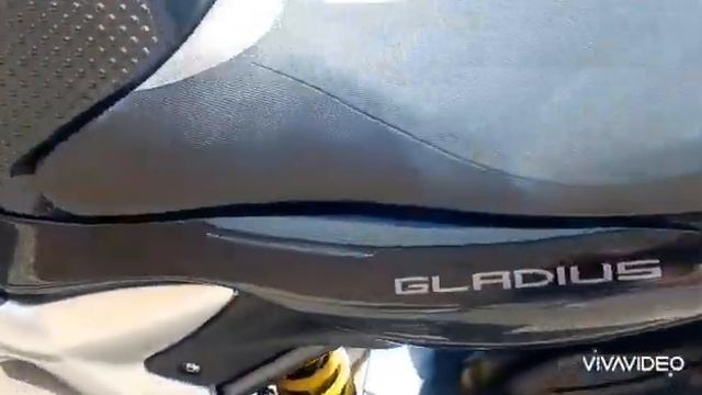 Suzuki Sfv 650 Gladius Review