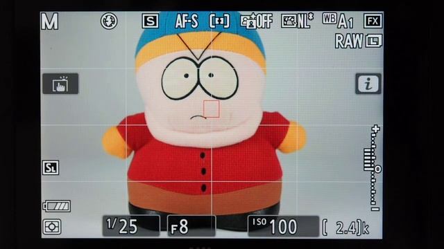 Nikon Z6 - Live View