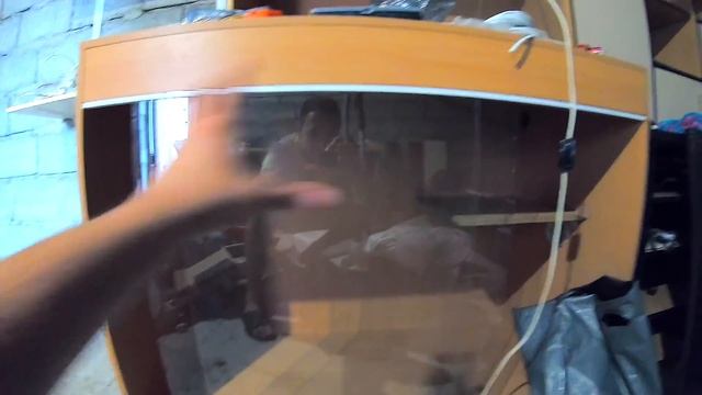 ИГОЛКИ В МОРДЕ! хаски напал на ёжика смотреть онлайн