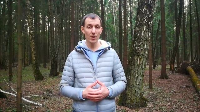 Максим Гриценко о семинаре "Йога вне форм" смотреть онлайн