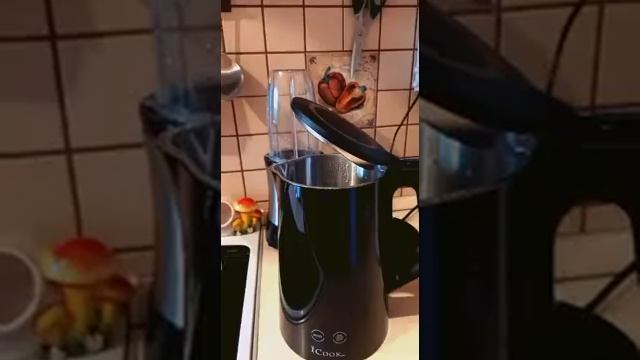 Знакомство с инструкцией чайника бренда iCook смотреть онлайн
