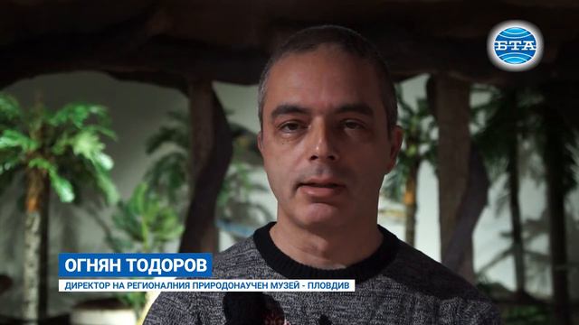 BTA: Децата ще влизат в Природонаучния музей в Пловдив срещу рисунка смотреть онлайн