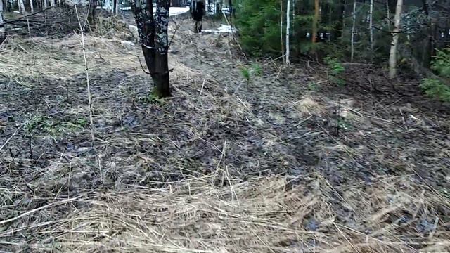 Нашли лесную избу. Ремонт. Крыша. Часть 2 смотреть онлайн