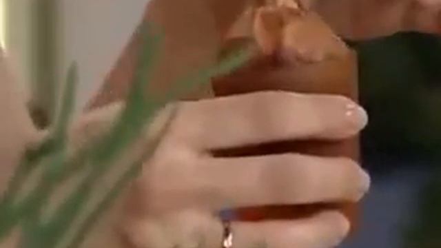 Гидропонная грядка «Луковое счастье» смотреть онлайн