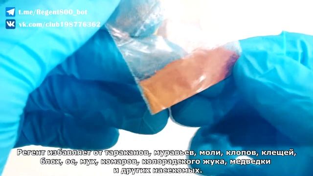 РЕГЕНТ 800 В.Д.Г. 0.5г. ОПТОМ | ВИДЕО ОБЗОР ОРИГИНАЛЬНОГО РЕГЕНТА смотреть онлайн