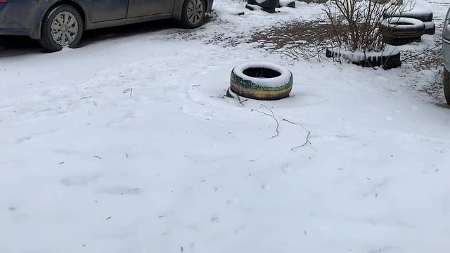 Ошибка в открытии файла весна.exe смотреть онлайн