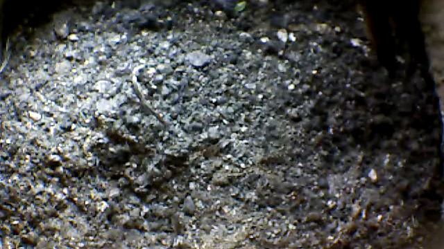 From Internet Camera(Turmfalken[03:1A:A5])2014/07/07,09:17:04_D смотреть онлайн