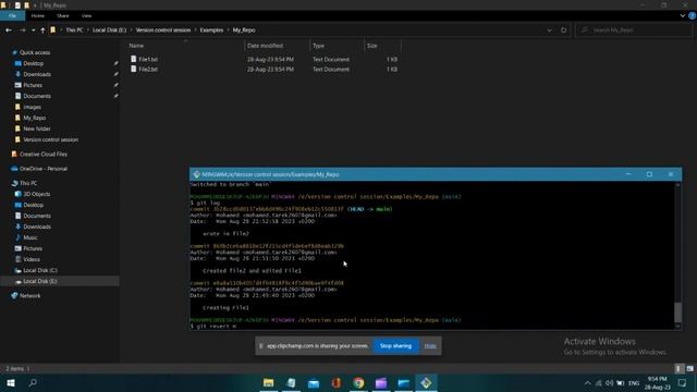 Version control (Git/GitHub) смотреть онлайн