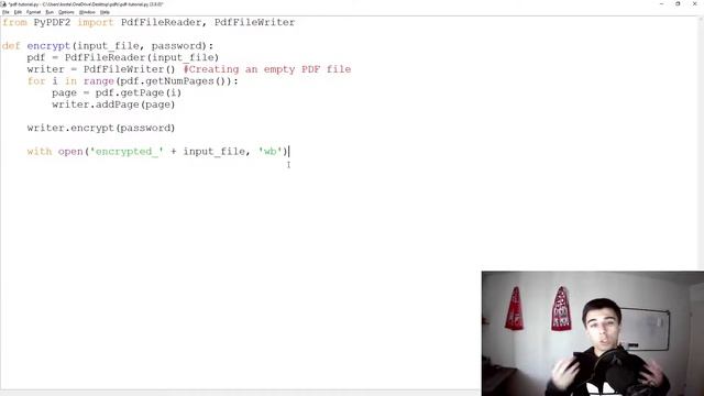 How to password protect (encrypt) and decrypt PDF files with Python смотреть онлайн