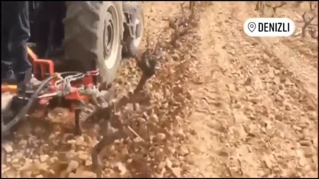 Универсальная почвофреза ЭКО для сада и виноградника смотреть онлайн