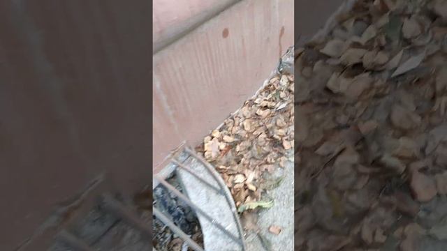 5 ноября 2023 г.