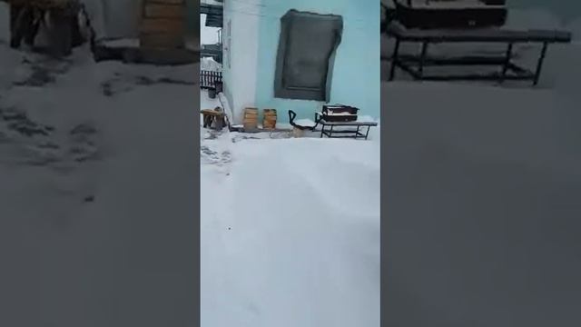 Павлодар снег)) смотреть онлайн