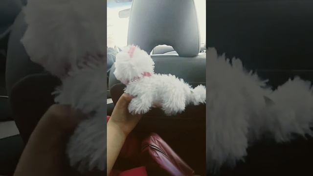 nyan cat :3 смотреть онлайн