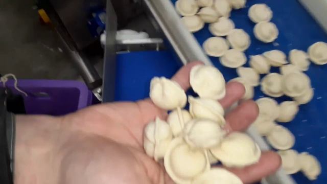 Линия для производства пельменей 1000кг в час смотреть онлайн