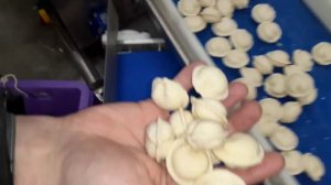 Линия для производства пельменей 1000кг в час