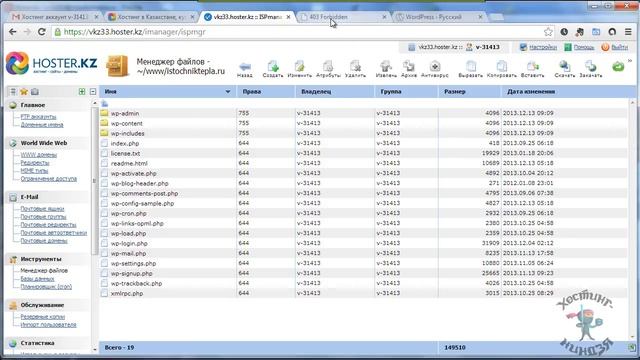 Хостинг Hoster.kz. Устанавливаем Wordpress. смотреть онлайн