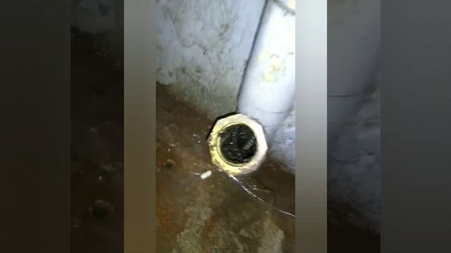 plomeros Medellín- servicio de destaqueo de tuberia contáctanos 3168012752 - 3178245099 смотреть онлайн