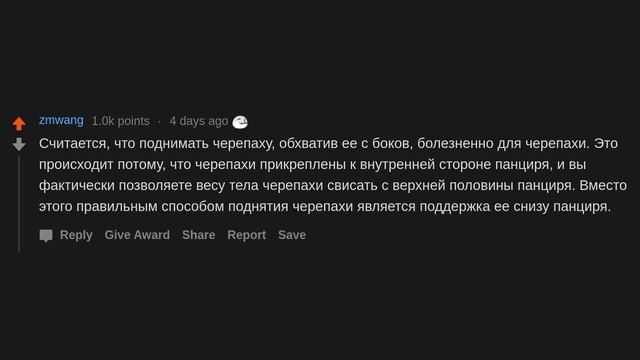 Каким случайным фактом, по вашему мнению, стоит поделиться? (r/AskReddit русский) смотреть онлайн