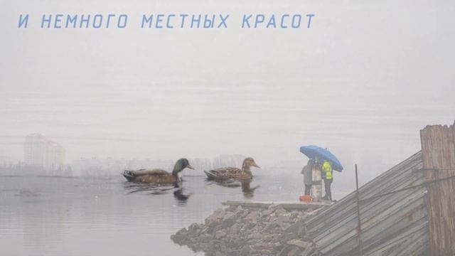 Монтаж 6 пролета низовой стороны Запорожского вантового моста. Таймлапс и не только смотреть онлайн