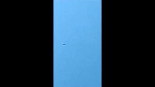 Поездка в Пакистан за голубями - Секреты Чемпионов смотреть онлайн