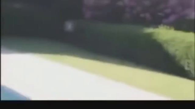 Смешные животные. Видео приколы про кошек Будете смеяться смотреть онлайн