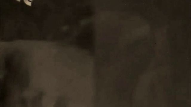 Копия видео "сон в летнюю ночь или как я выдавала подругу замуж." смотреть онлайн