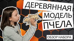 Сборная деревянная модель Пчела, Чудо Дерево - обзор набора. Деревянный конструктор, серия насекомые