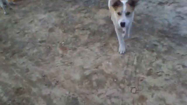 Видео которое было снято 3 года назад :) смотреть онлайн