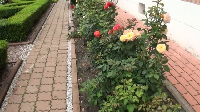 .ВОПРЕКИ ПОГОДНЫМ УСЛОВИЯМ. смотреть онлайн