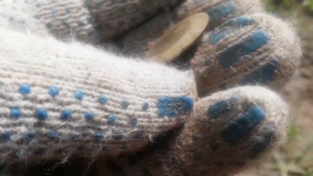 Как решить все проблемы одним копом.Часть вторая.Поиск монет.Кладоискательство.Suchen in Königsberg смотреть онлайн