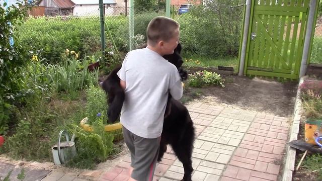 Последний вальс для Ромы (Шутка - смотреть до конца обязательно) смотреть онлайн