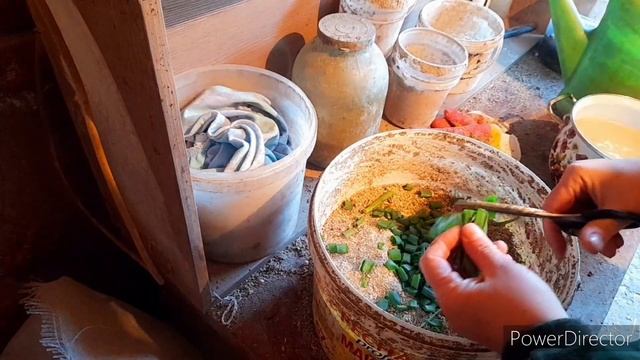 Витамины для Кур!//С Этой мешанкой Куры Точно Занесутся!//Лечу Петуха.. смотреть онлайн