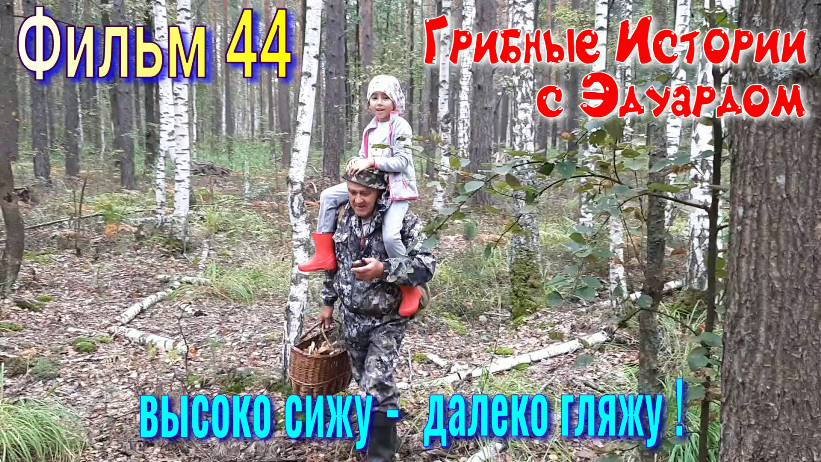 ГРИБНЫЕ Истории с Эдуардом. Фильм 44 Серия. Высоко сижу – Далеко гляжу! смотреть онлайн